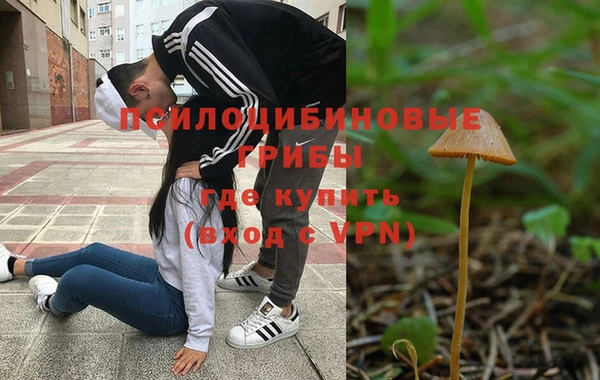 PSILOCYBIN Аркадак