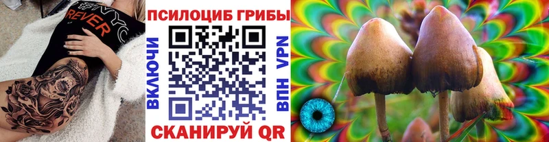 Псилоцибиновые грибы Cubensis  Усолье 